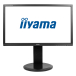 Монитор 24" iiyama ProLite B2483HS FullHD HDMI