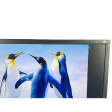 МОНІТОР 23.6" TERRA 2455W LED PIVOT FULL HD HDMI - 2